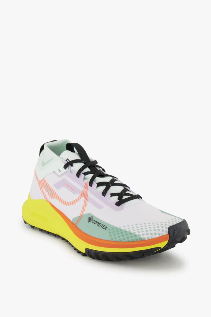 Nike Pegasus Trail 4 Gore-Tex® Herren Trailrunningschuh