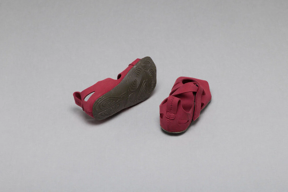 Feder fuchsia