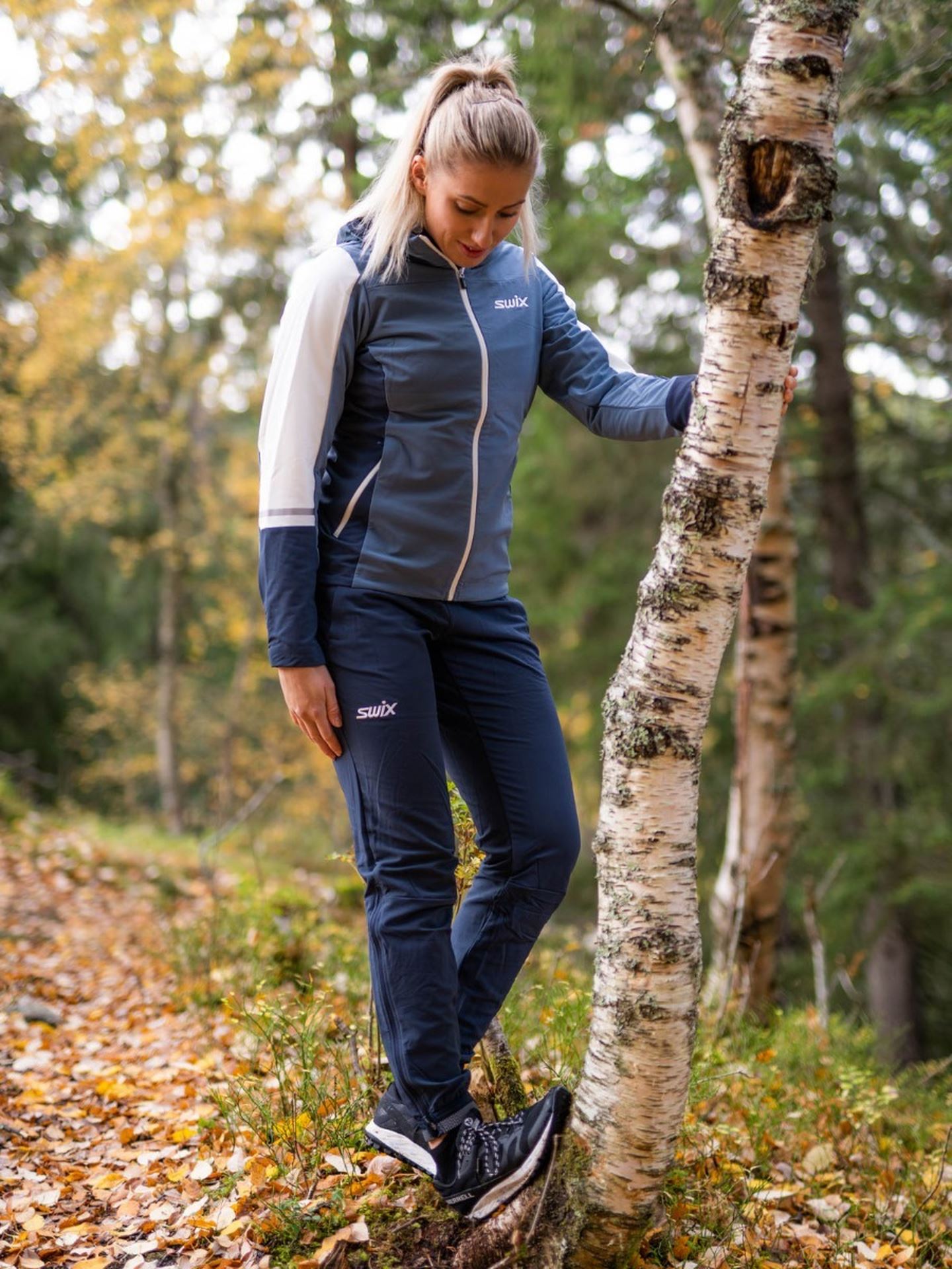 Evolution Softshield Jacket