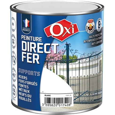 Peinture 0,25 L Mat Direct Fer - Noir RAL 9005