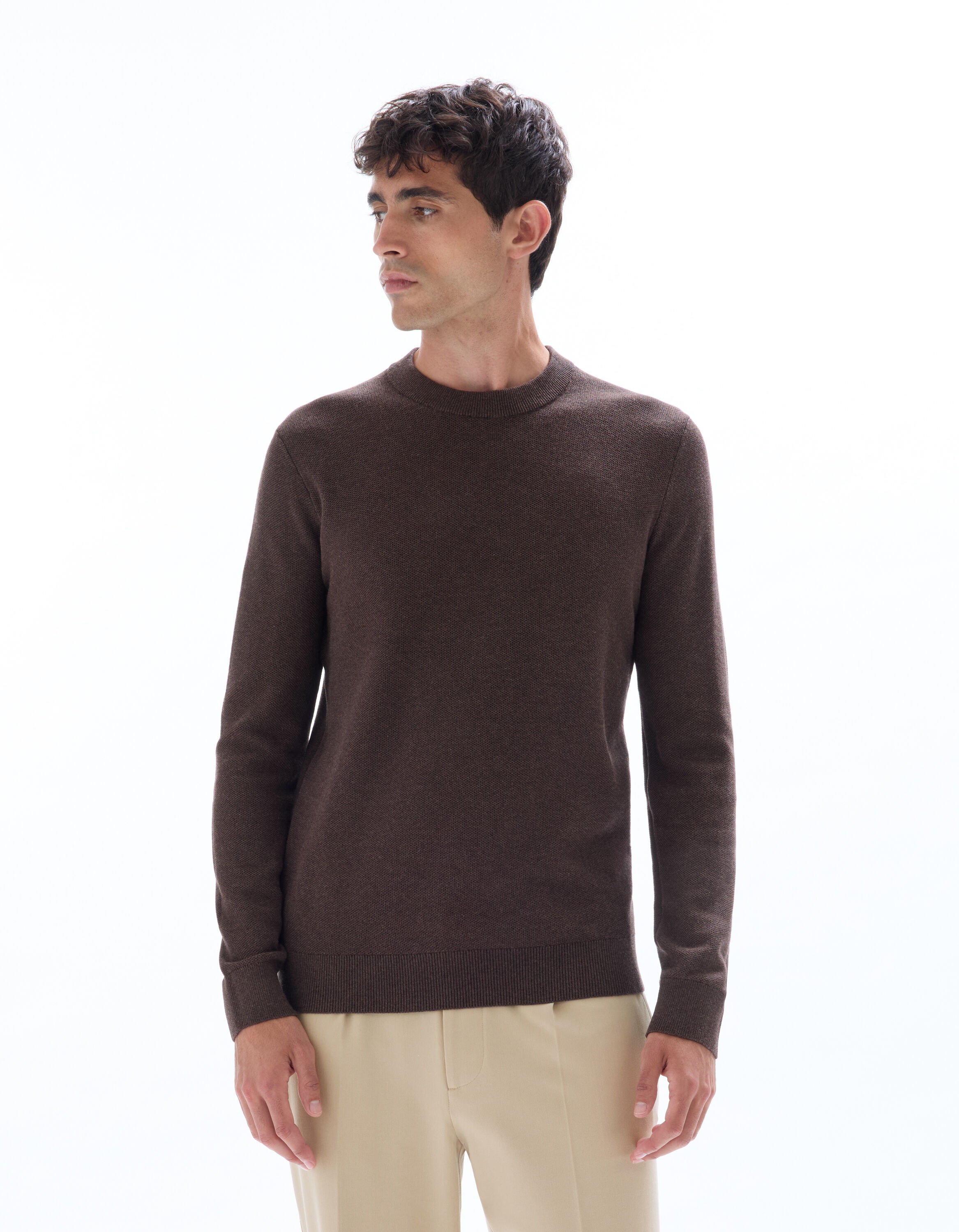 Pull col rond 100% coton - marron foncé