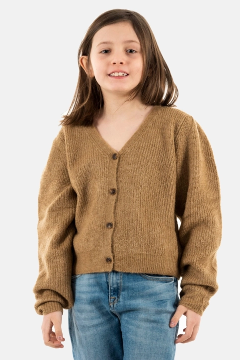 gilets cardigans Le Temps Des Cerises llonagi 1004 beige