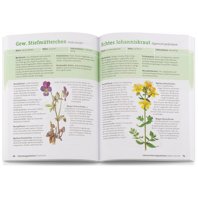 Wildpflanzen neu entdecken