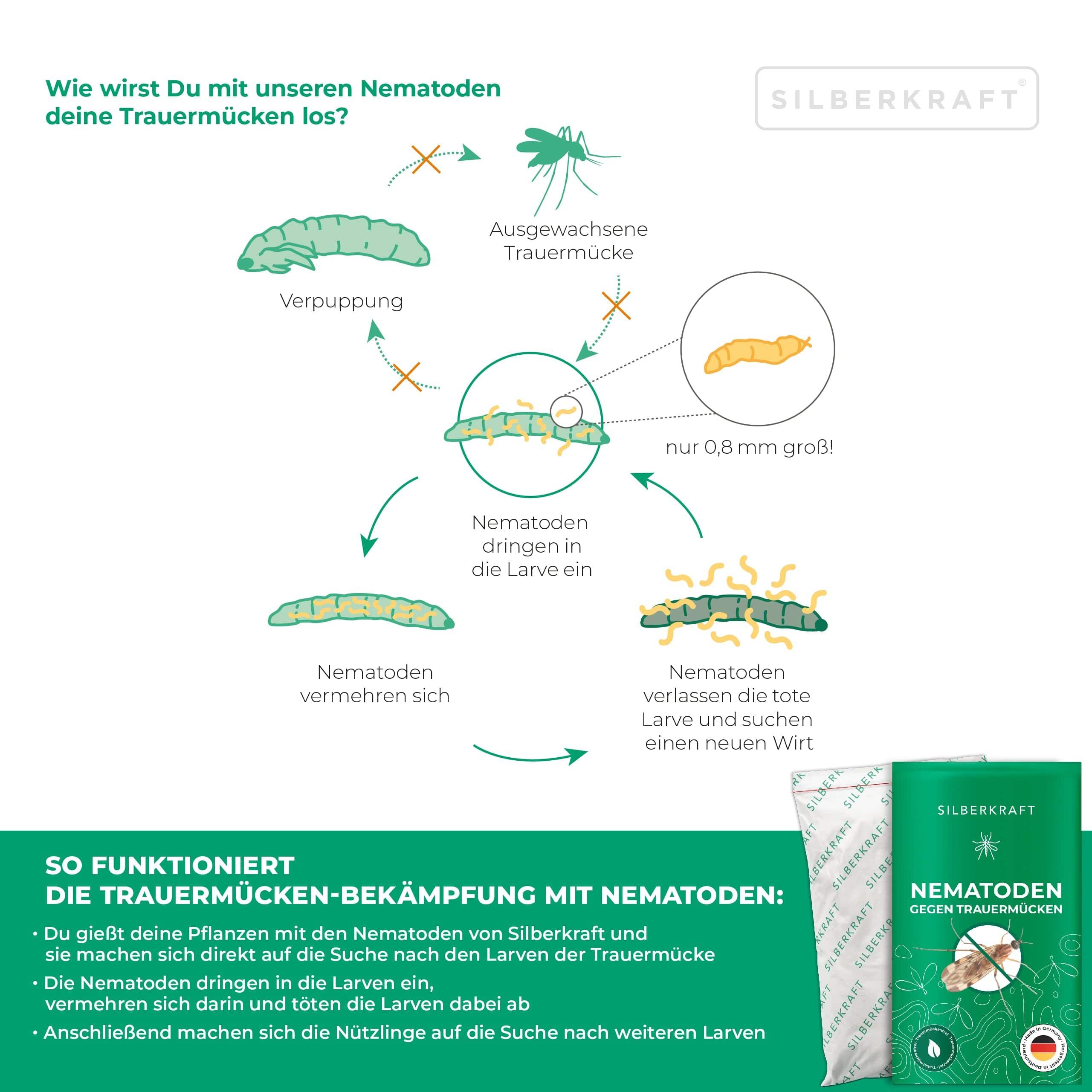SILBERKRAFT SF Nematoden gegen Trauermücken 25 Mio