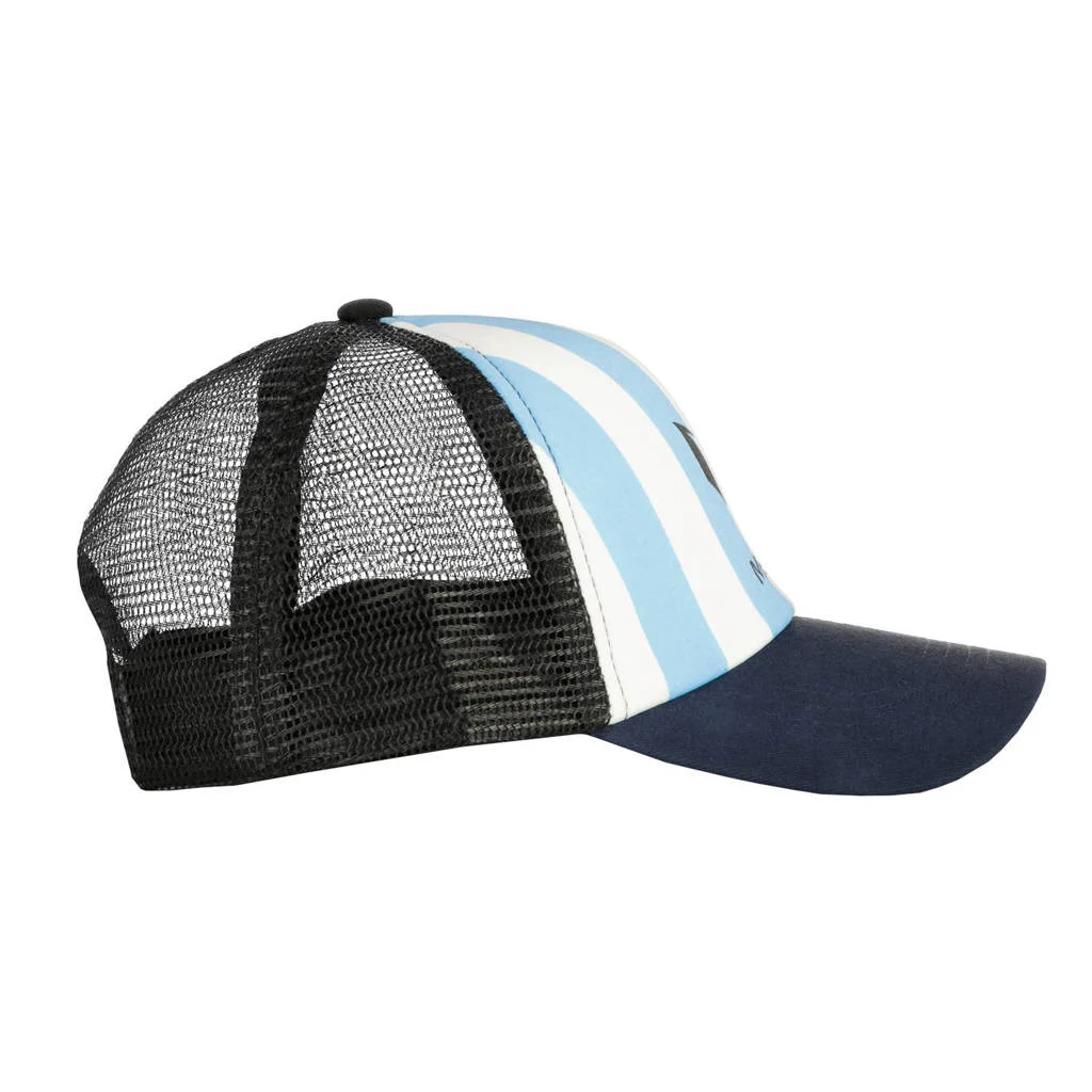 gestreepte pet met logo blauw/wit