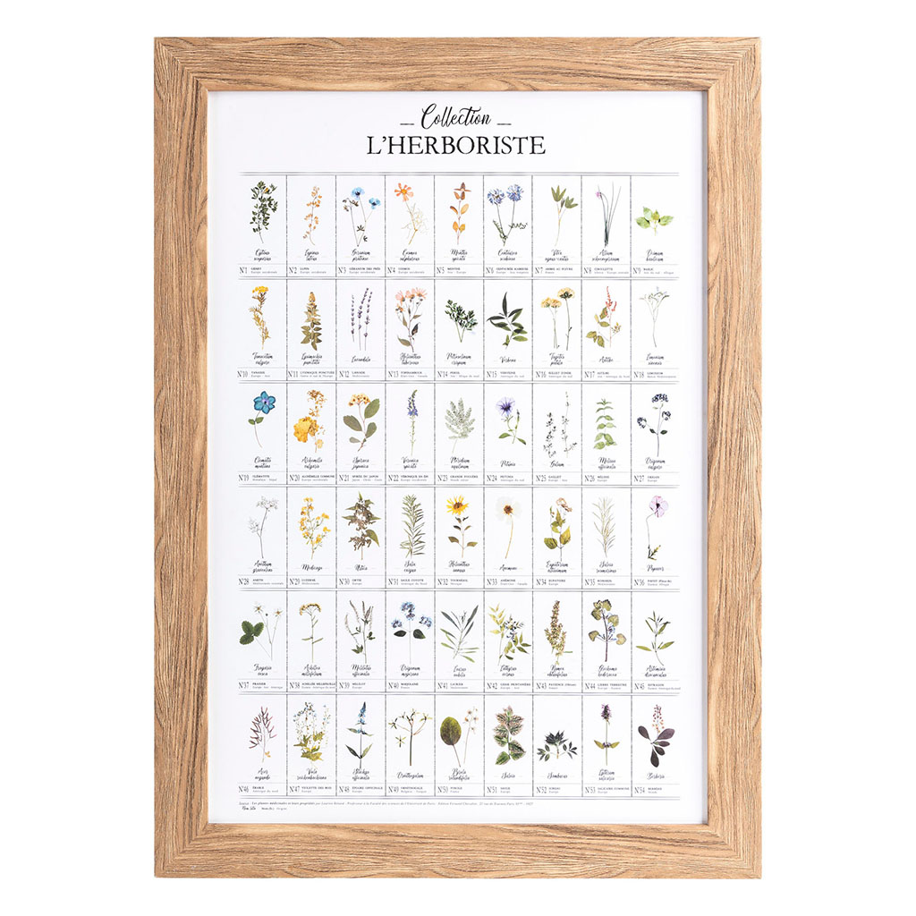 Affiche cadre plantes INGRID 50x70cm