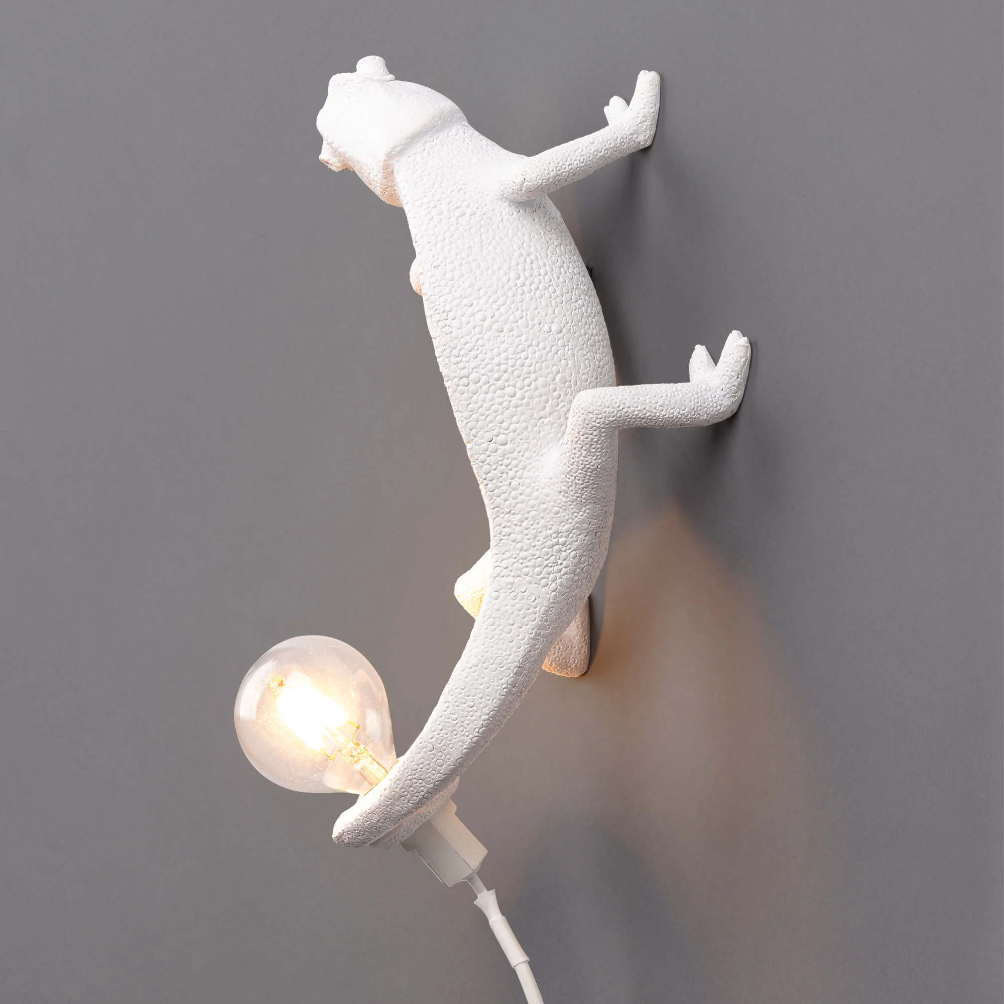 CHAMELEON GOING DOWN - Lampe de table | Blanc