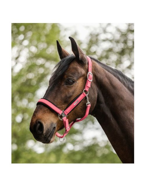 Waldhausen Halter Mesh Fuchsia - Paardenhalster
