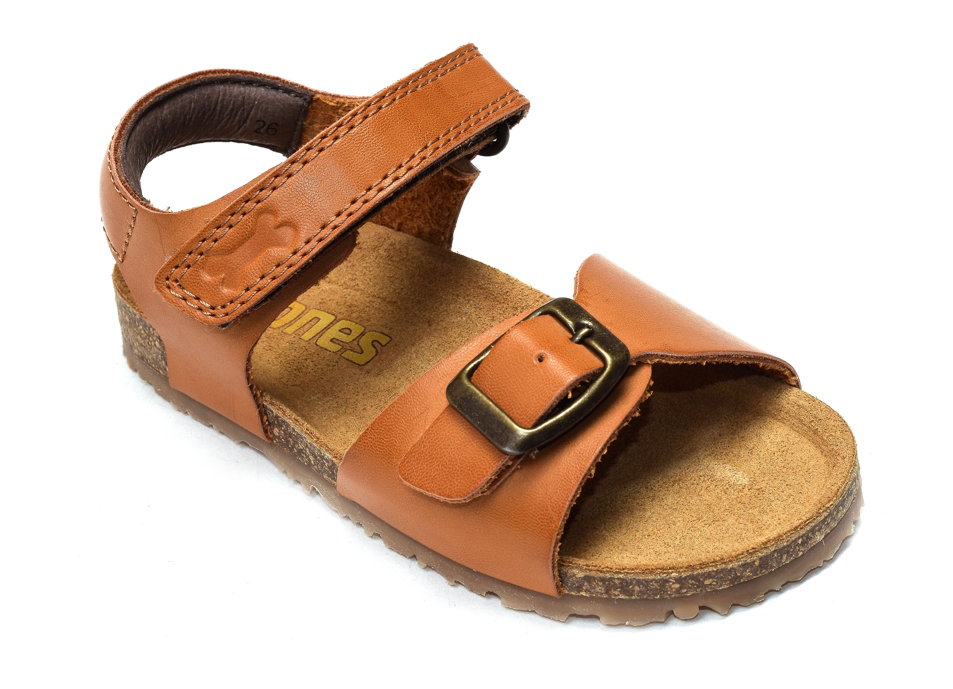 Lindo camel