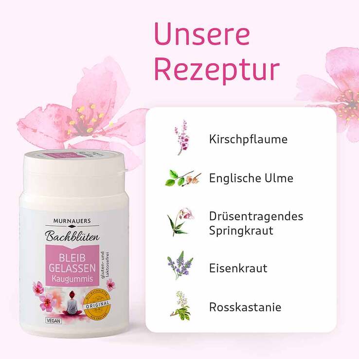 Bachblüten Murnauer Kaugummi Bleib gelassen, 74 g