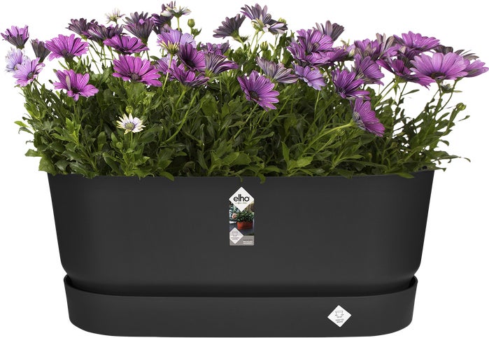 Elho plantenbak Greenville zwart 58,9 x 26,3 x 33,5 cm