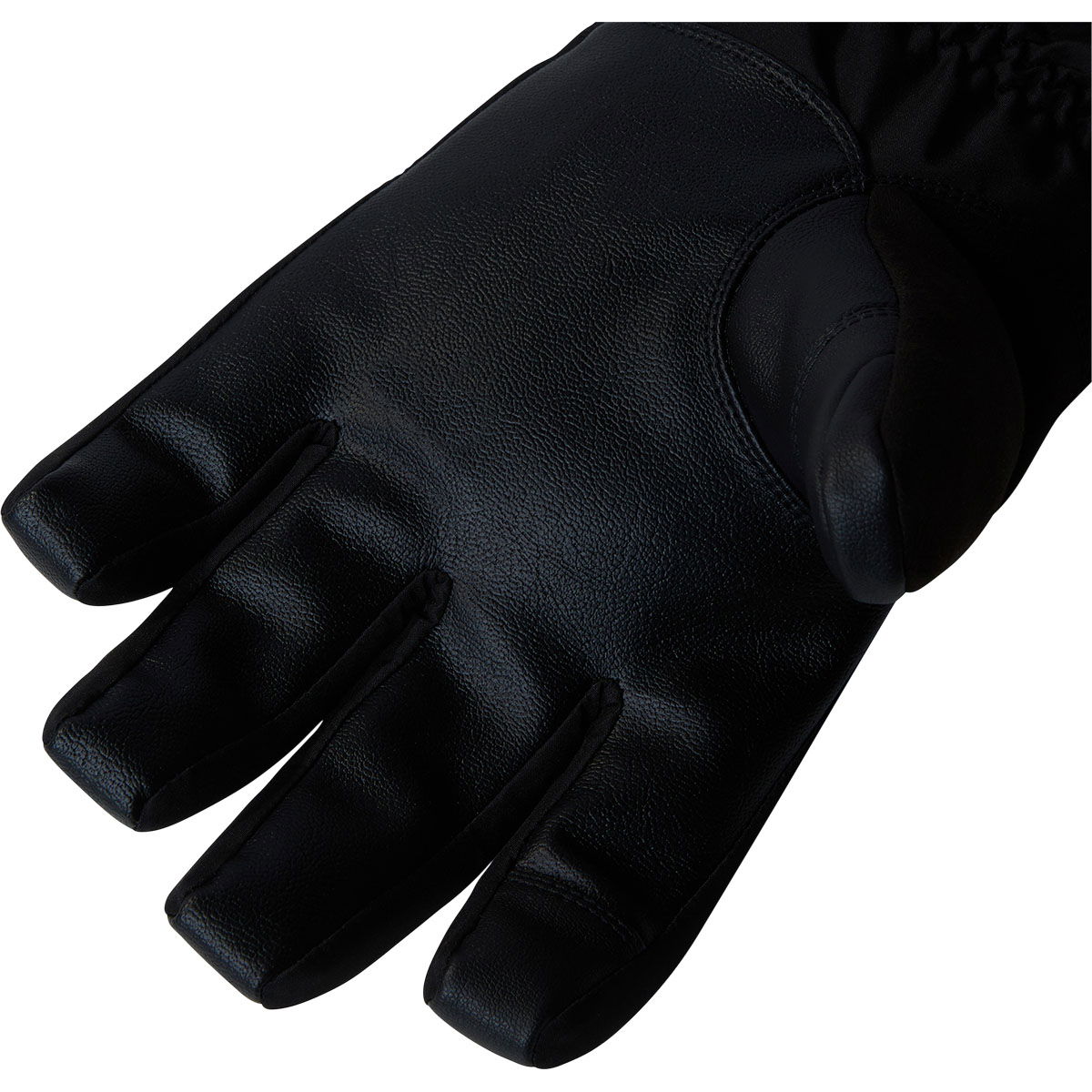The North Face Montana Skihandsker Herre