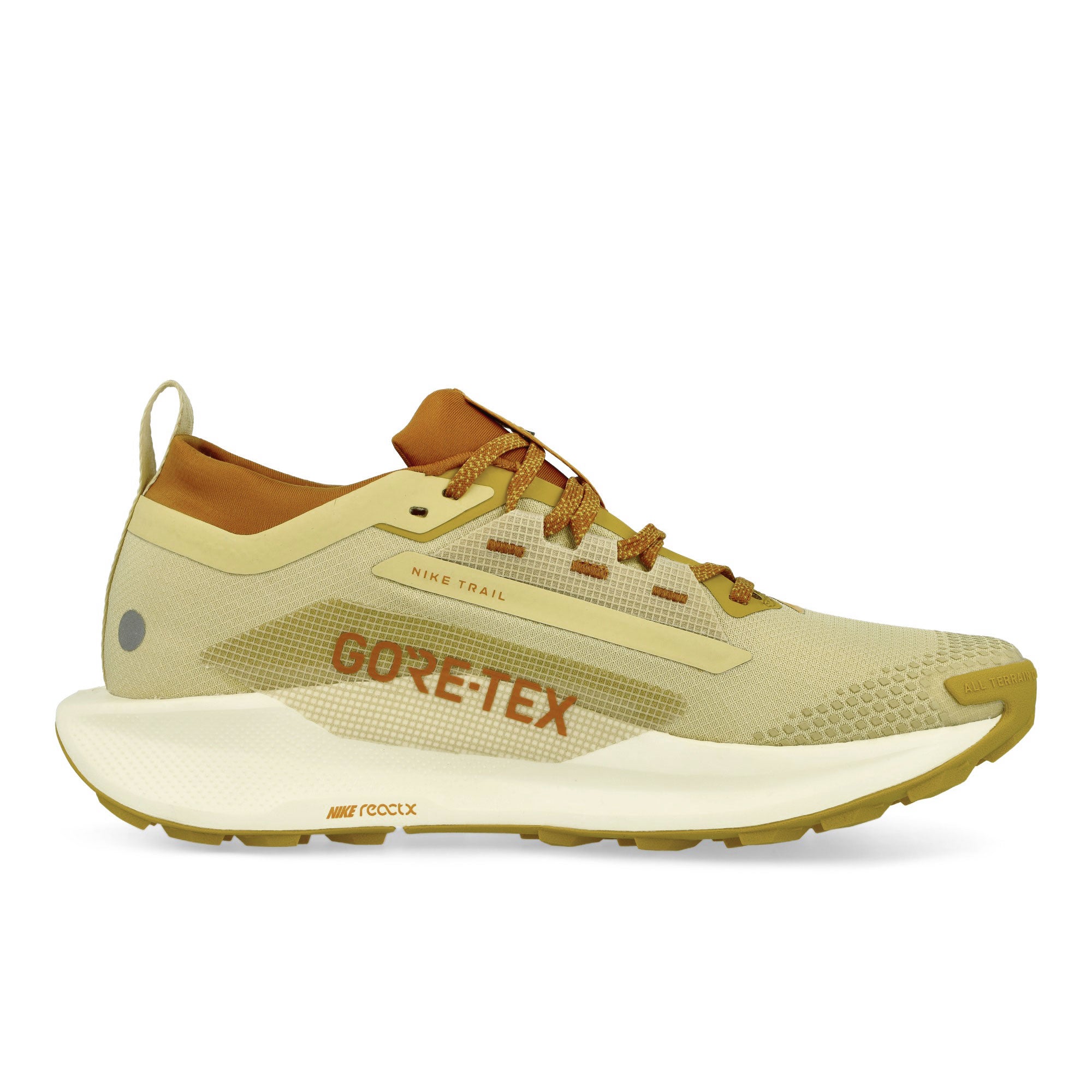 Nike<br>Pegasus Trail 5 GTX SP