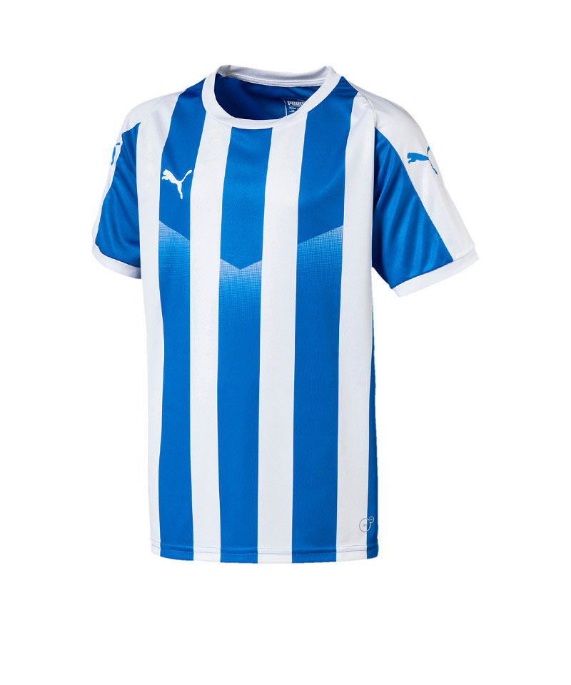 PUMA LIGA Striped Trikot kurzarm Kids Blau F02