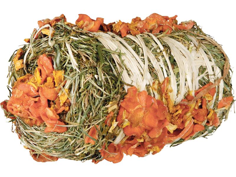 Trixie mit Kürbis und Karotte 200 g Kleintier Snack