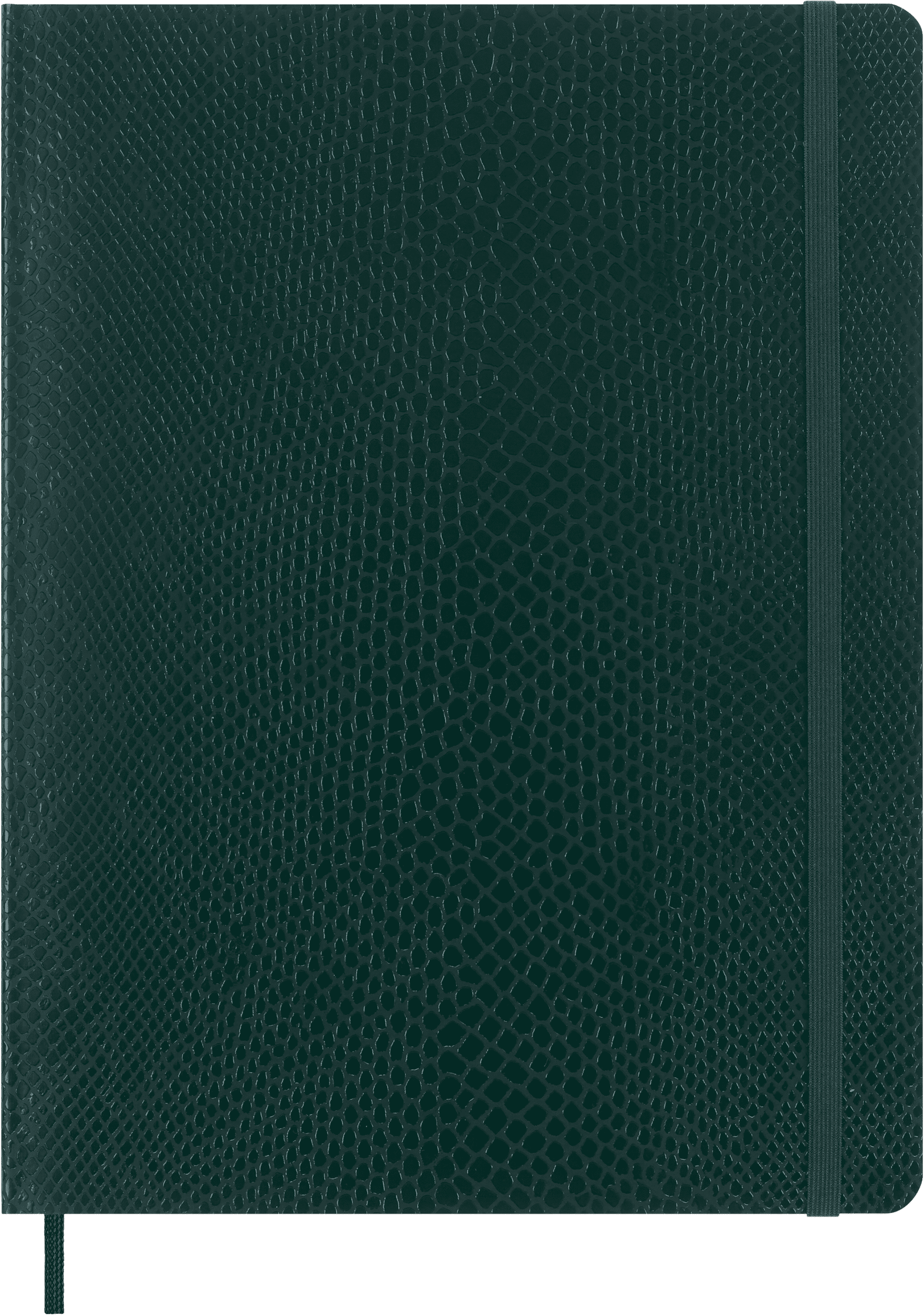 Precious & Ethical Notebook Vegan Soft Cover, Python-effect, Ruled
