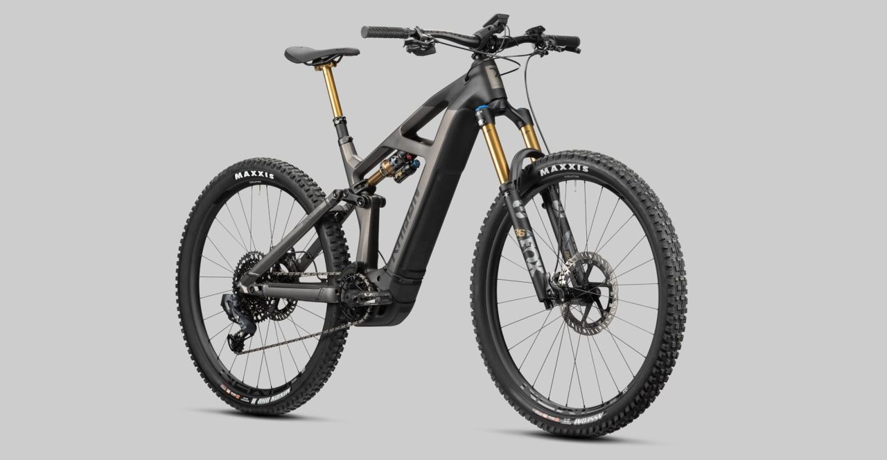 Radon Render 10.0 HD 750 kaufen | Bike-Discount