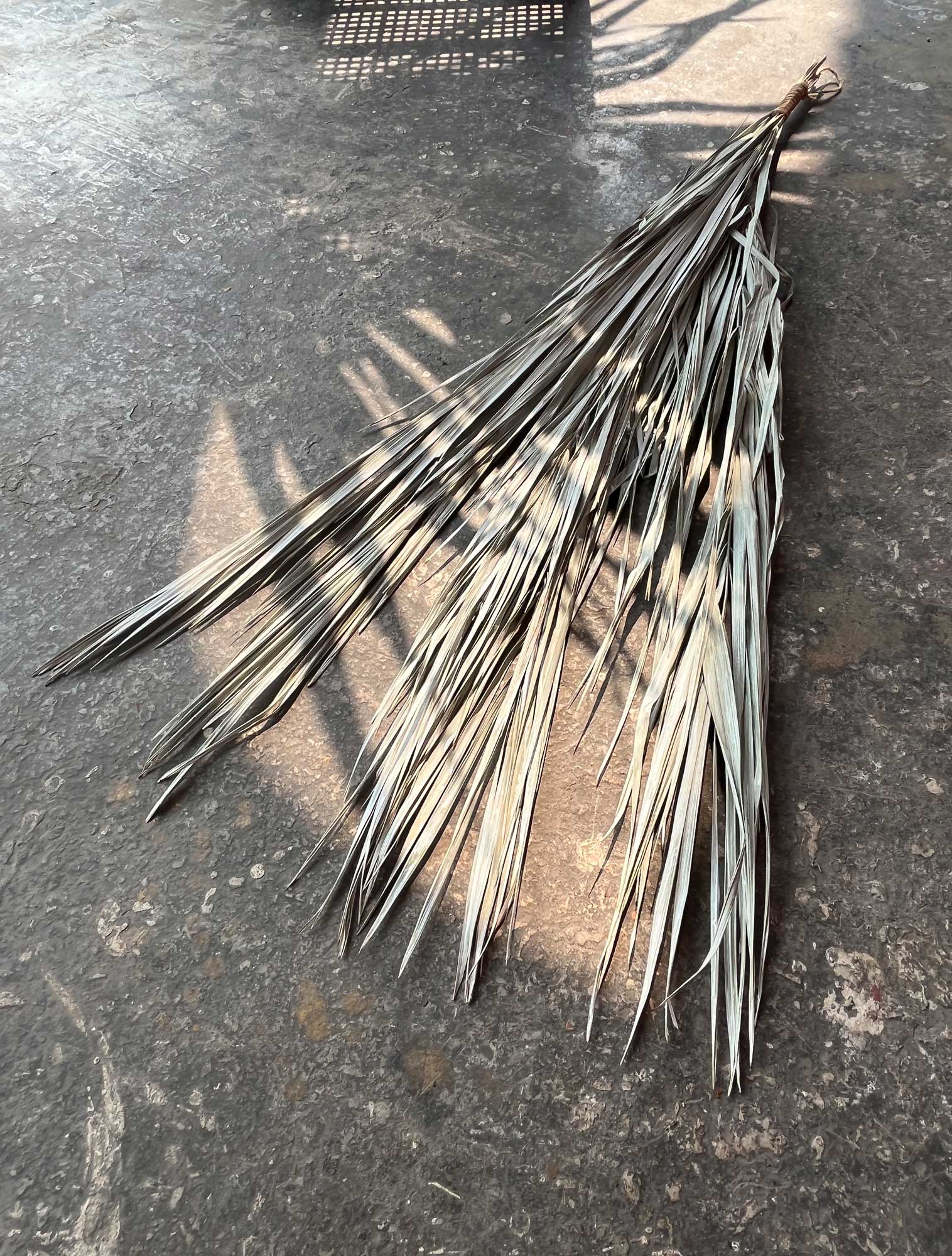 Silberne Dattelpalmblätter gebunden, H 110 cm von fischer's lagerhaus