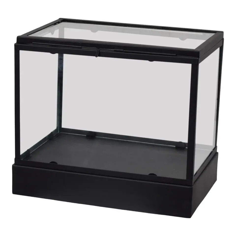 LOFT42 Showy Glazen Display Box Zwart - Metaal - (27x30x20)