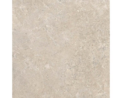 Wand- en vloertegel Jurassic beige 60x60 cm