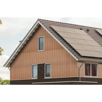 Gevelpaneel naturel 244x30cm dikte 12mm 2 stuks, 1,64m²