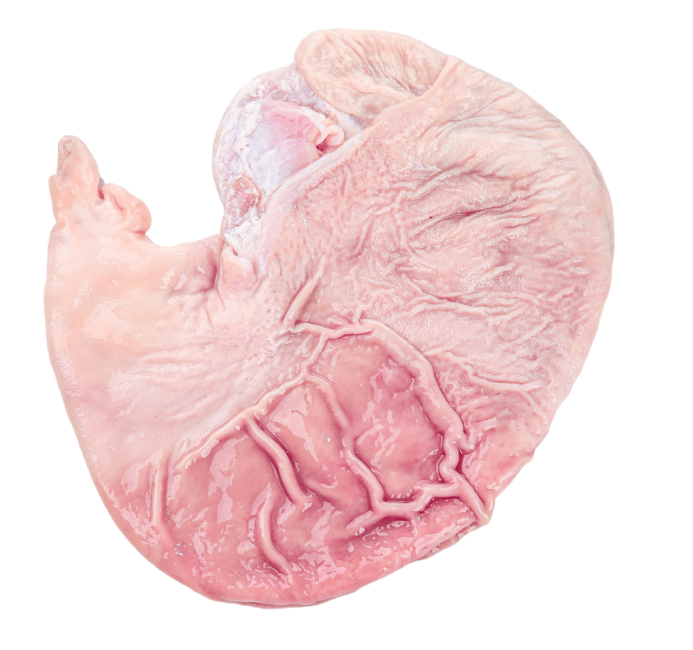 Bevroren Varkensbuik 1kg
