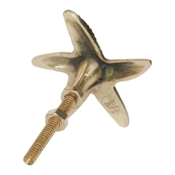Doing Goods Poignée de porte en laiton Seastar Ruby | Gold