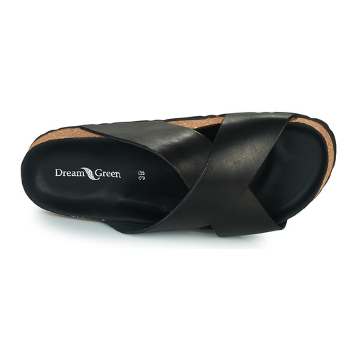 Dream in Green - AGAVE - Noir