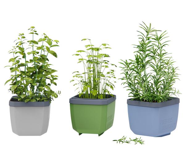 Gusta Garden Kräutertöpfe Herbs Buddy, ca.
