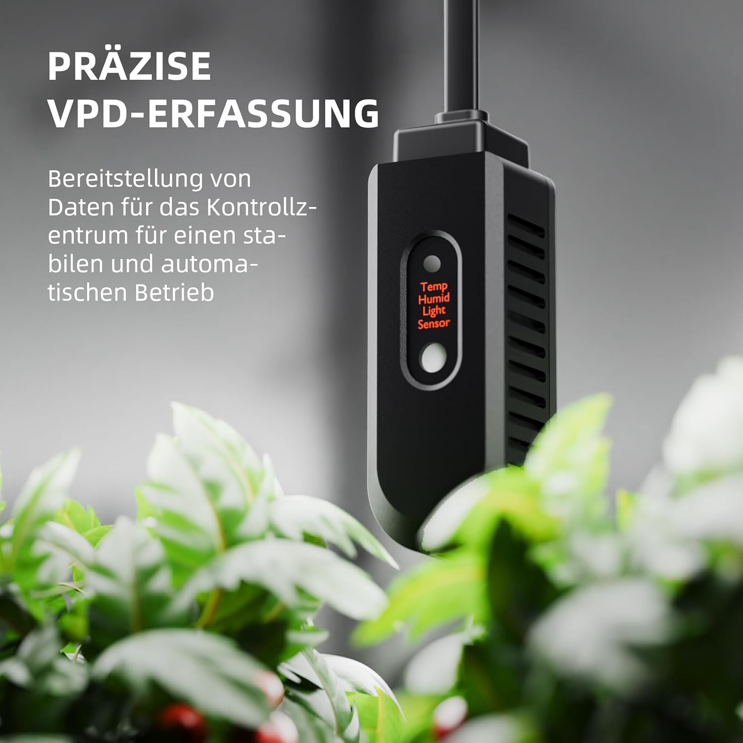 SPIDER FARMER Luftentfeuchter, 12L Pflanzenentfeuchter mit Feuchtigkeitsregelung, APP-Steuerung, 24H Timer Funktion für Grow-Zelt, luftentfeuchter elektrisch für Indoor-Garten,Wohnung & Keller