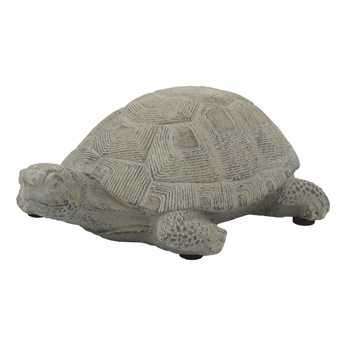 My Home Dekofigur Schildkröte aus Zement graugrün