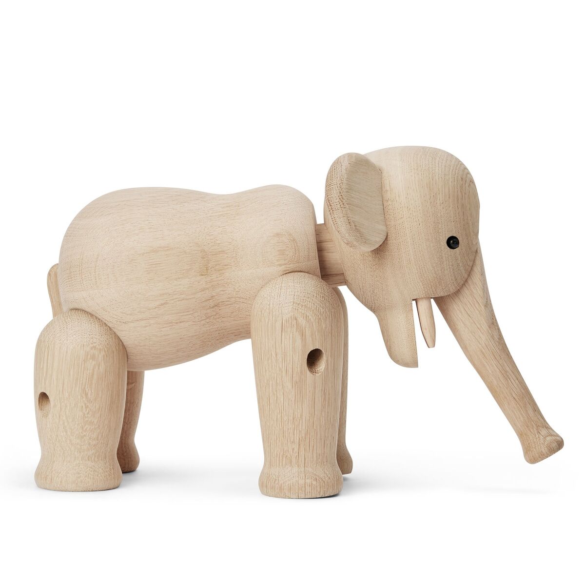 Elefant stor, eik