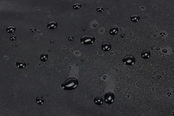 Thule Chasm - Køjesæk - carry on, wheeled - 900D polyester, phthalate-free laminate, polykarbonat - sort