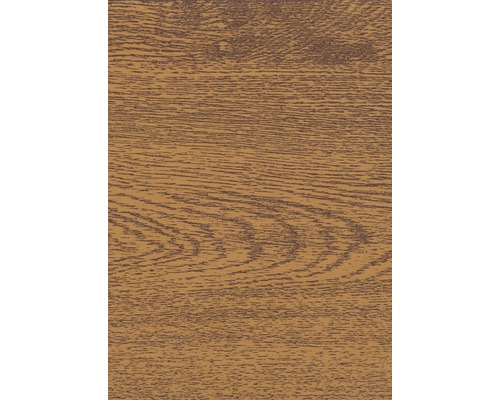 ARON Classic Garagedeur Sectionaaldeur 3000x2125 mm gouden eik incl. garagedeuropener, 2-knops afstandsbediening RSC2