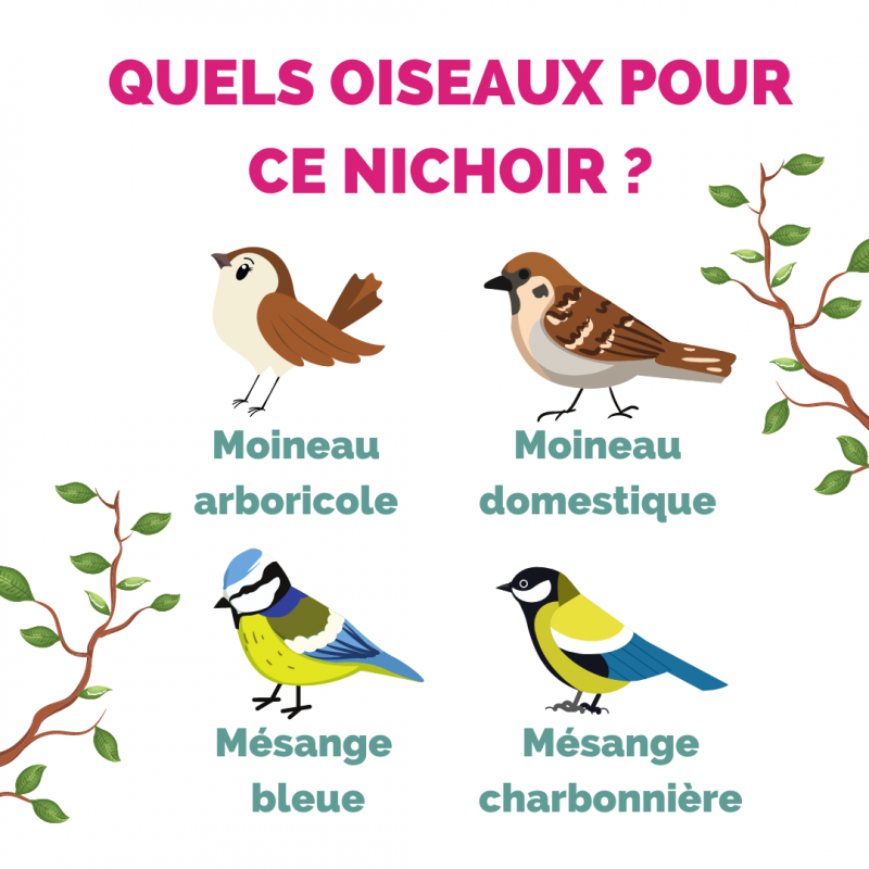 Nichoir moineaux 36 cm