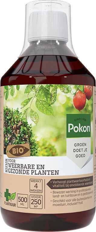 Pokon Bio Kuur Voor Weerbare en Gezonde Planten Concentraat 500 ml
