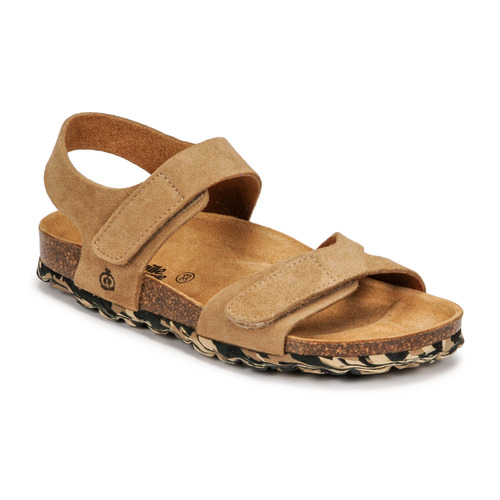 Citrouille et Compagnie - BELLI JOE - Beige