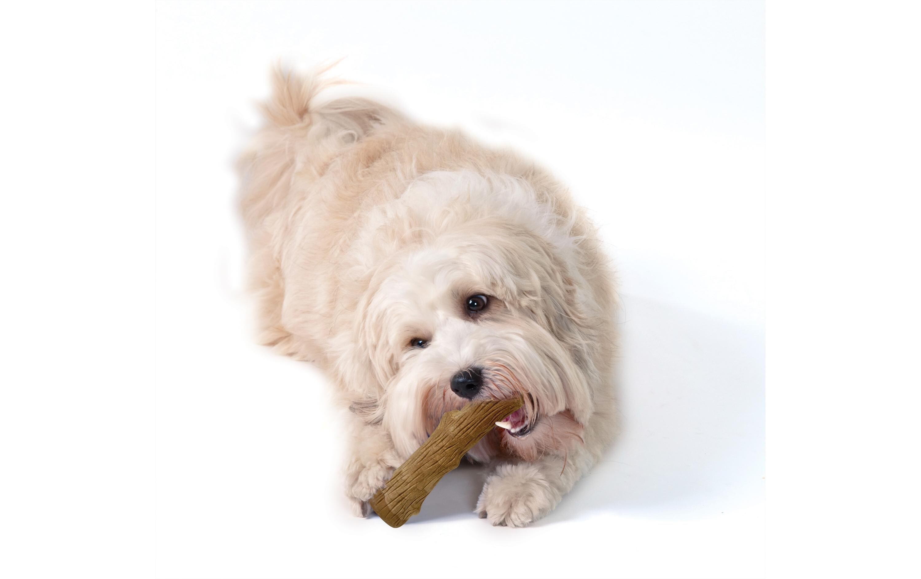 Hunde-Spielzeug Dogwood Durable Stick, LHundespielzeug und Kauartikel in Einem