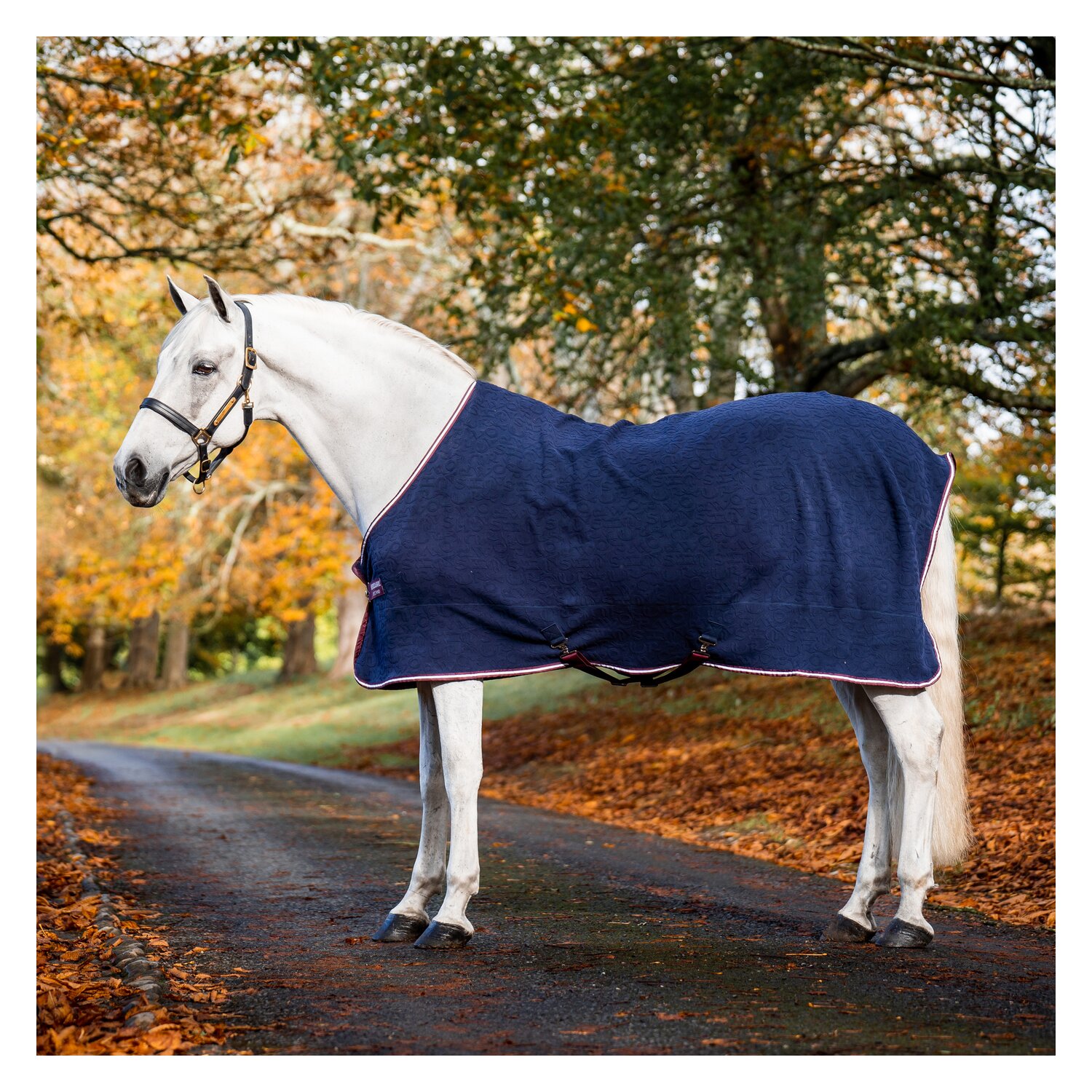 HORSEWARE Abschwitzdecke Jersey Cooler AMIGO Embossed  - navy