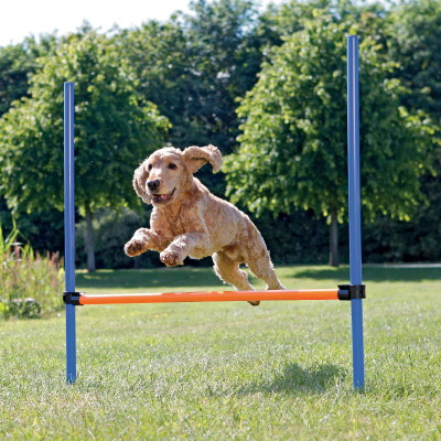 Trixie Activity Agility Hürde
