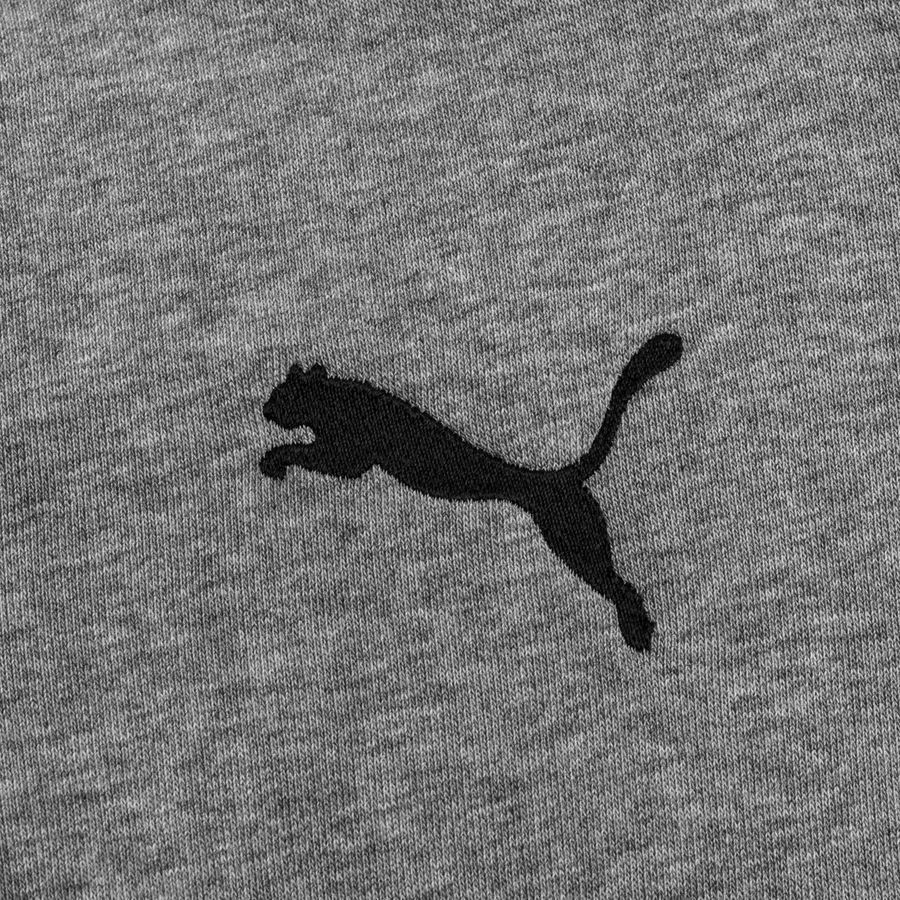 PUMA Sweat à Capuche teamGOAL 23 Casuals - Gris/Noir