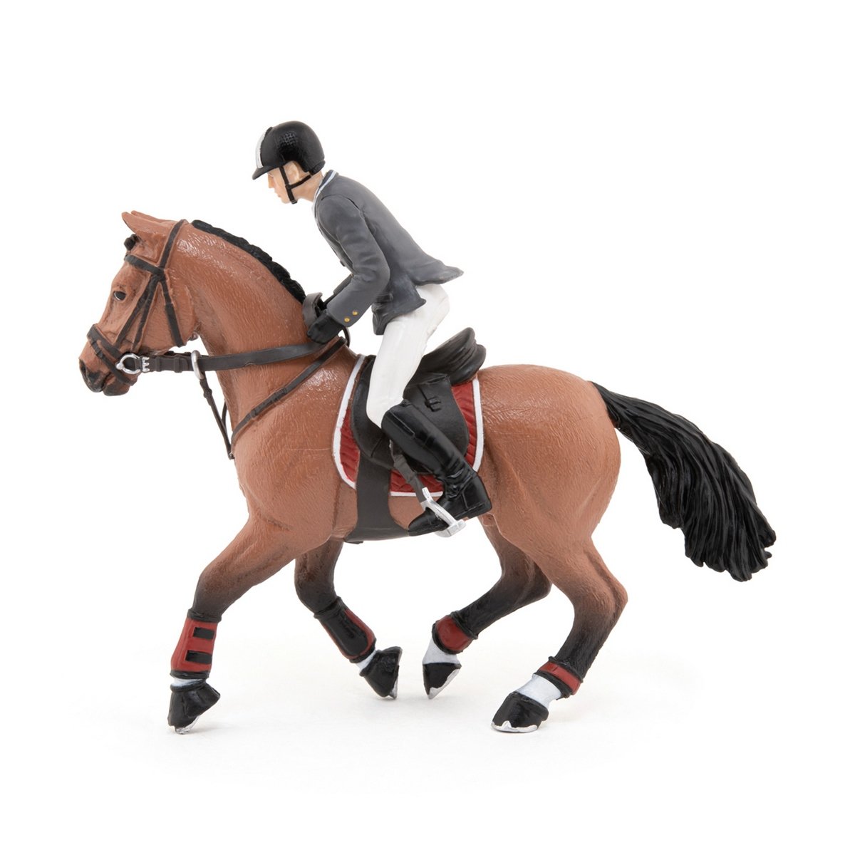 Cheval de concours et son cavalier