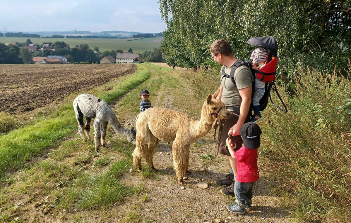 Alpaka Spaziergang Schönau-Berzdorf für 2