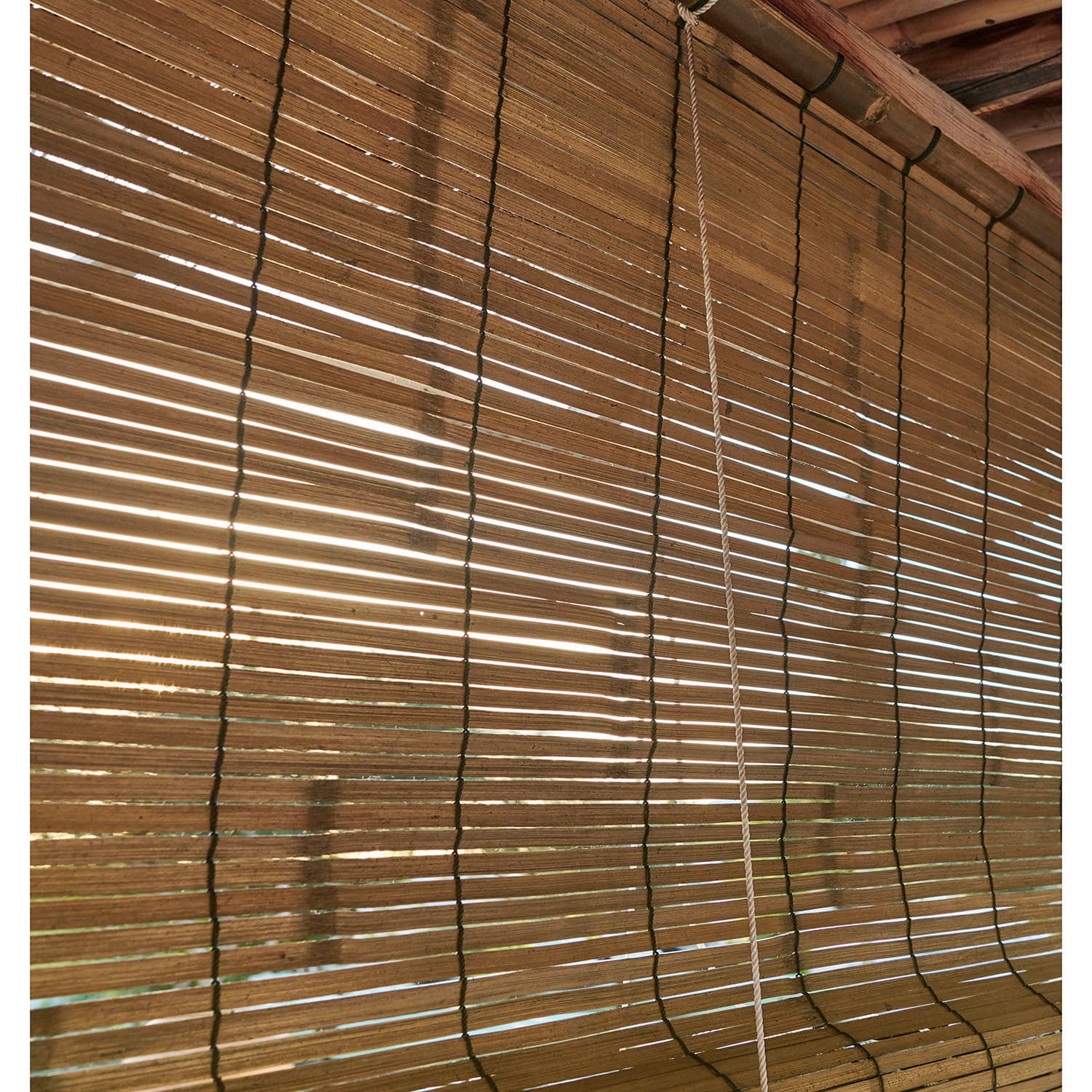 Sichtschutz Nikklas 300/200 cm