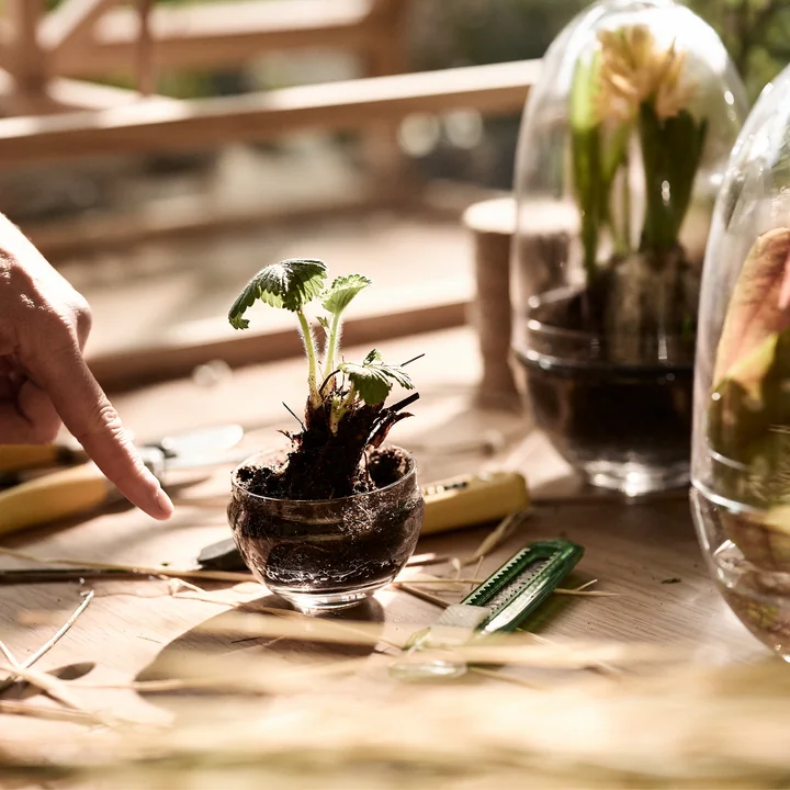 Design House Stockholm - Grow Gewächshaus, medium