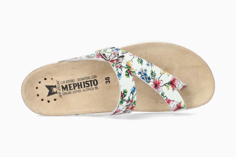 HELEN MULTICOLOR