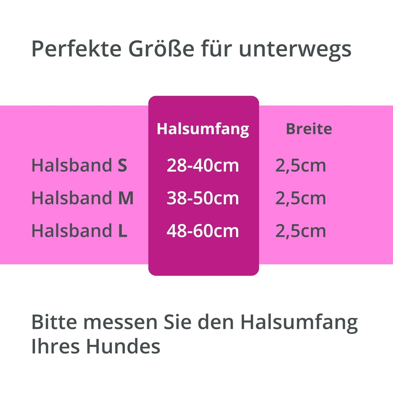 Petsation Leuchthalsband Hundehalsband pink L