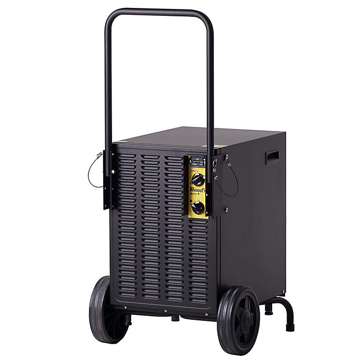 Déshumidificateur Wood's WCD2PRO 19L/J 140m²