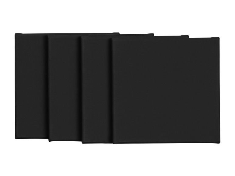 Canvas / canvasset