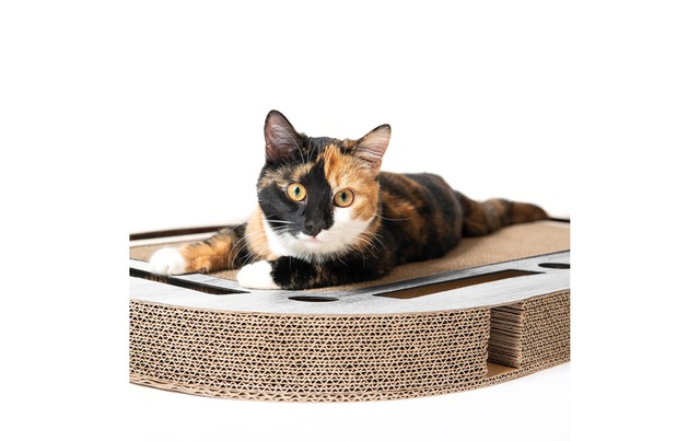 Tier-Intelligenzspielzeug »CanadianCat Playplate« Pappe